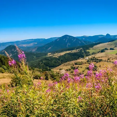 Nature Avec Grand Jardin Domek alpejski Tence